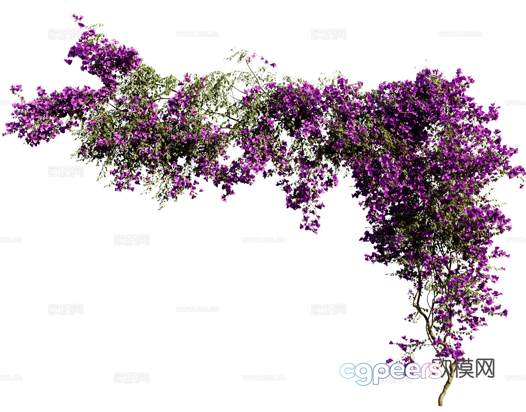 Modern vine 3d model Modern vine 3d model