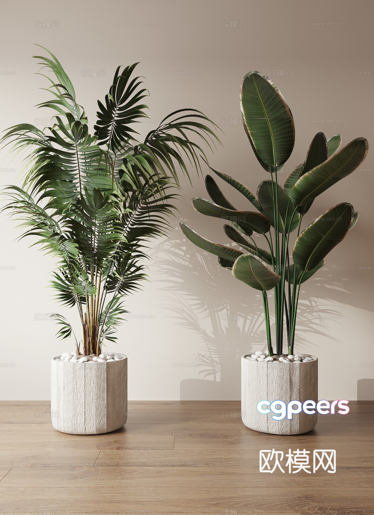 Potted plant 3d model Potted plant 3d model