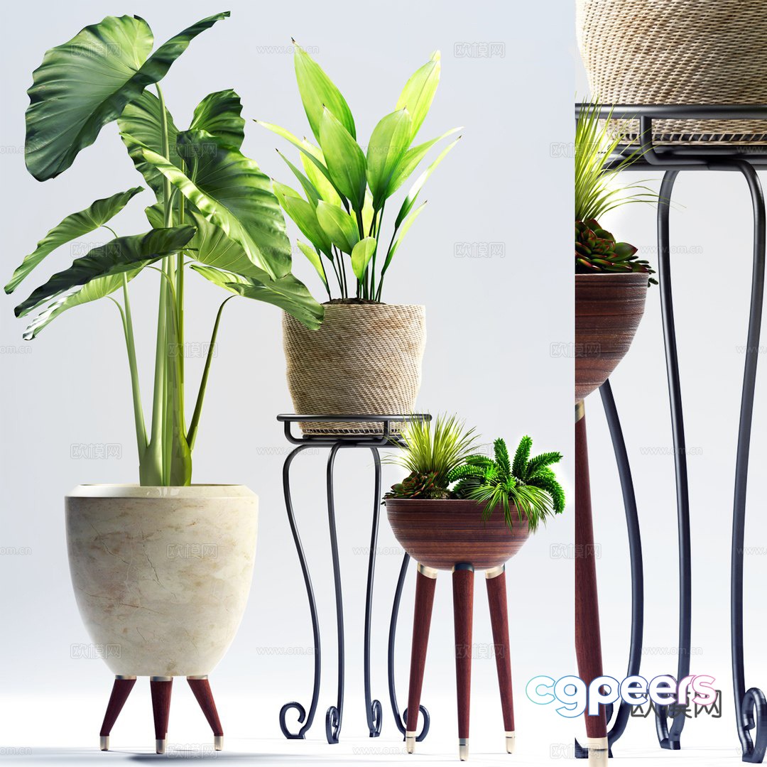 Green plant potted 3D model Green plant potted 3D model