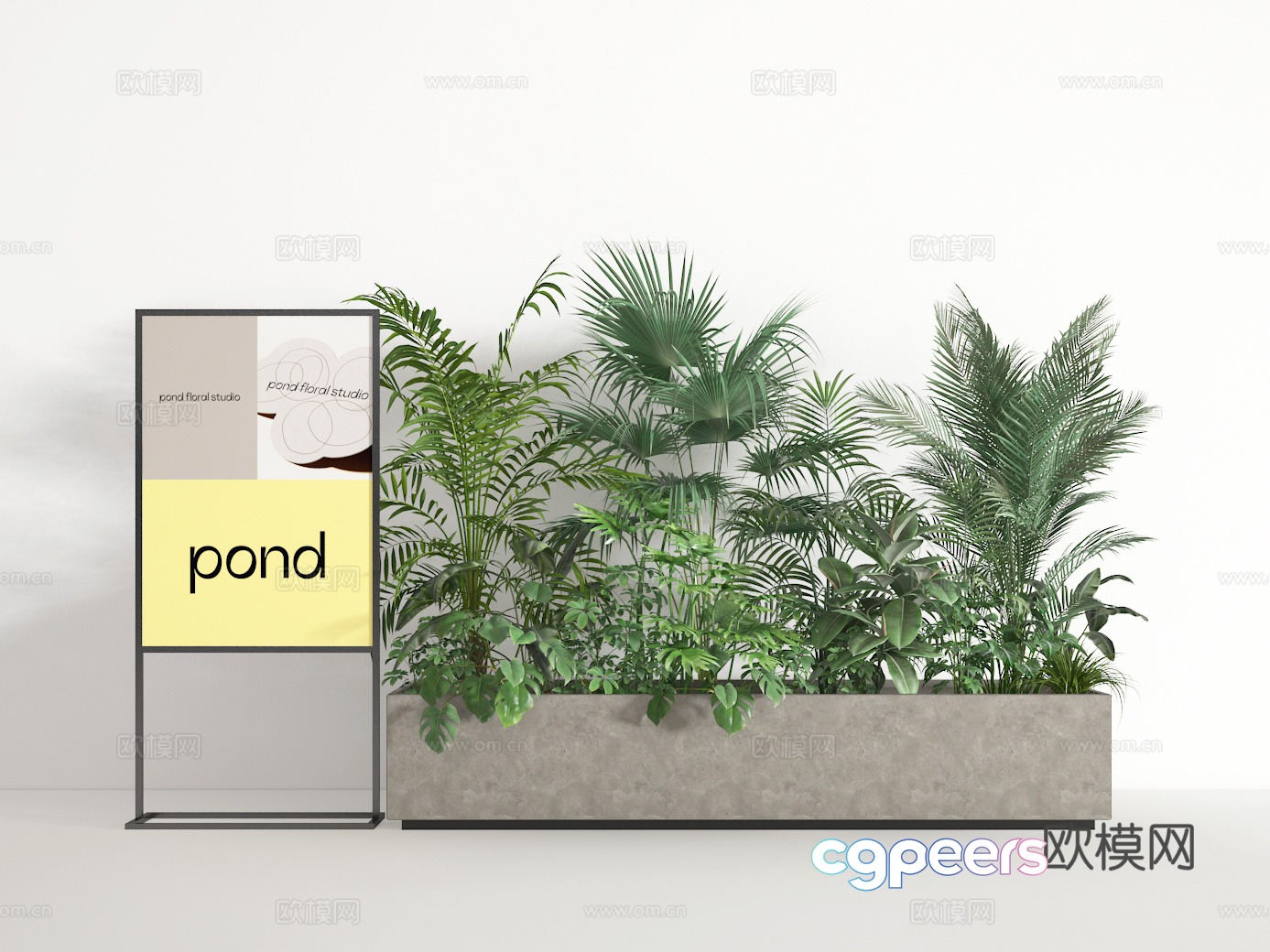 Bonsai 3d model Bonsai 3d model