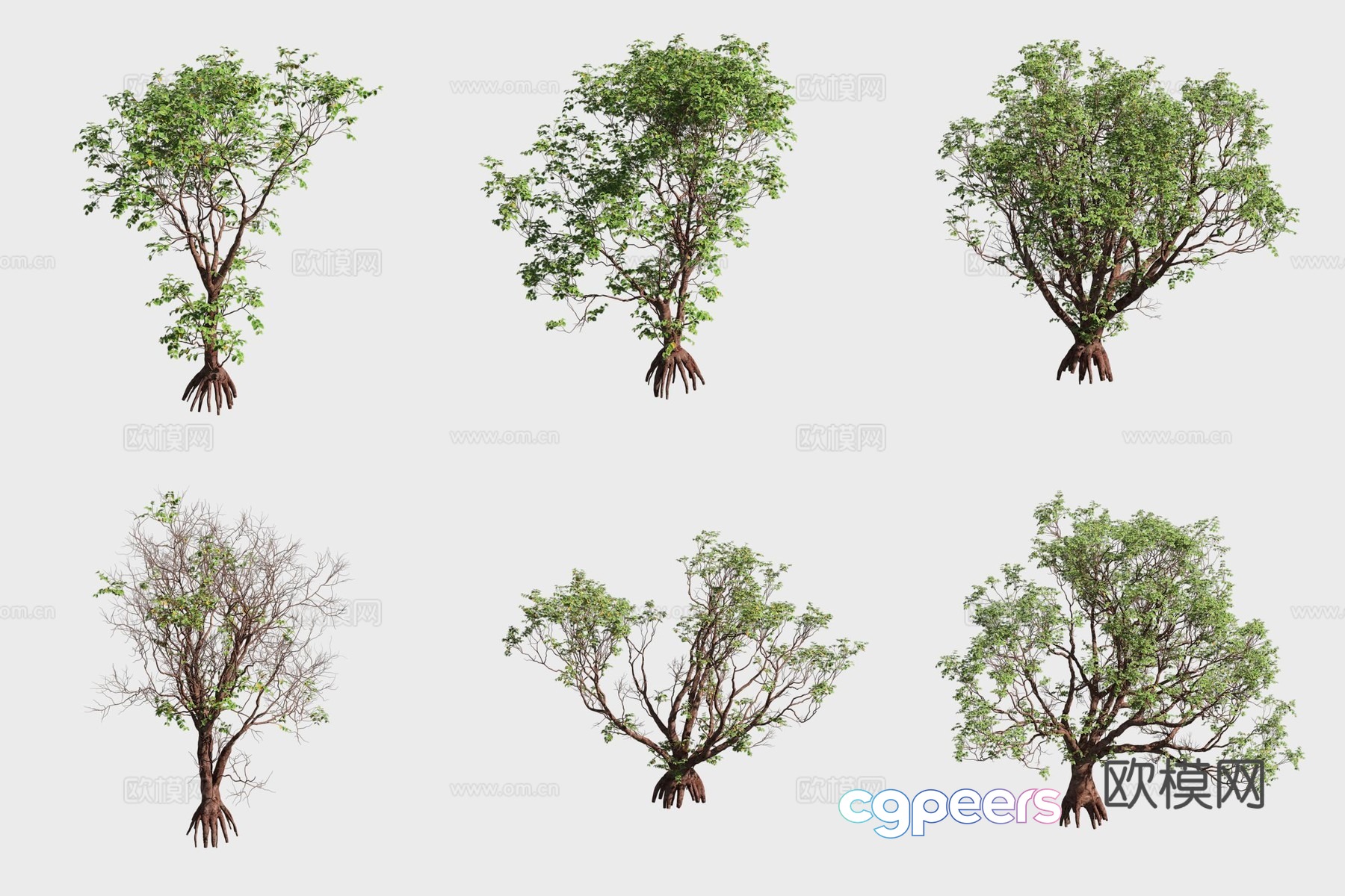 3D model of mangrove plants in timber 3D model of mangrove plants in timber