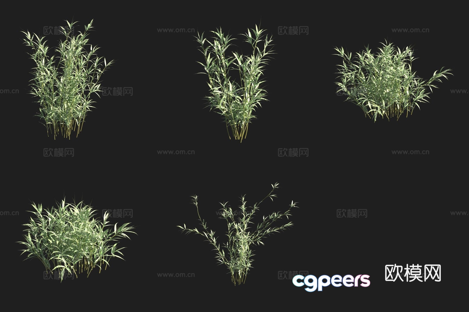 Bamboo bamboo forest 3d model Bamboo bamboo forest 3d model
