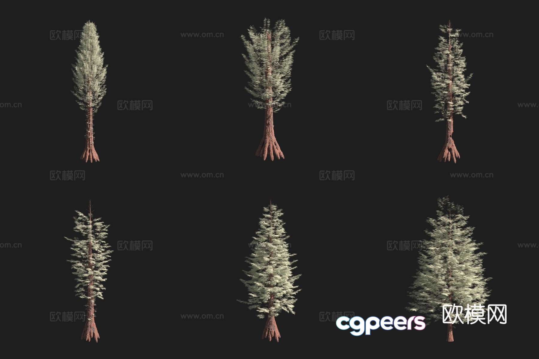 Sequoia Tree North American Tree 3D Model Sequoia Tree North American Tree 3D Model