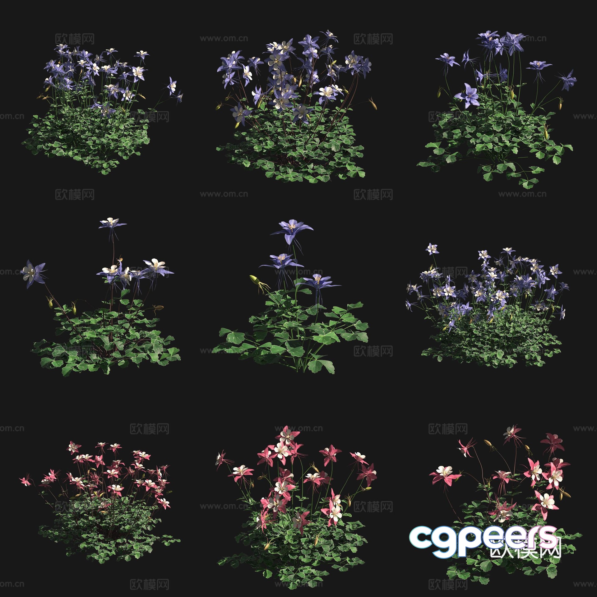 Blue Flowers and Flocks Flowers and Plants 3D Model Blue Flowers and Flocks Flowers and Plants 3D Model