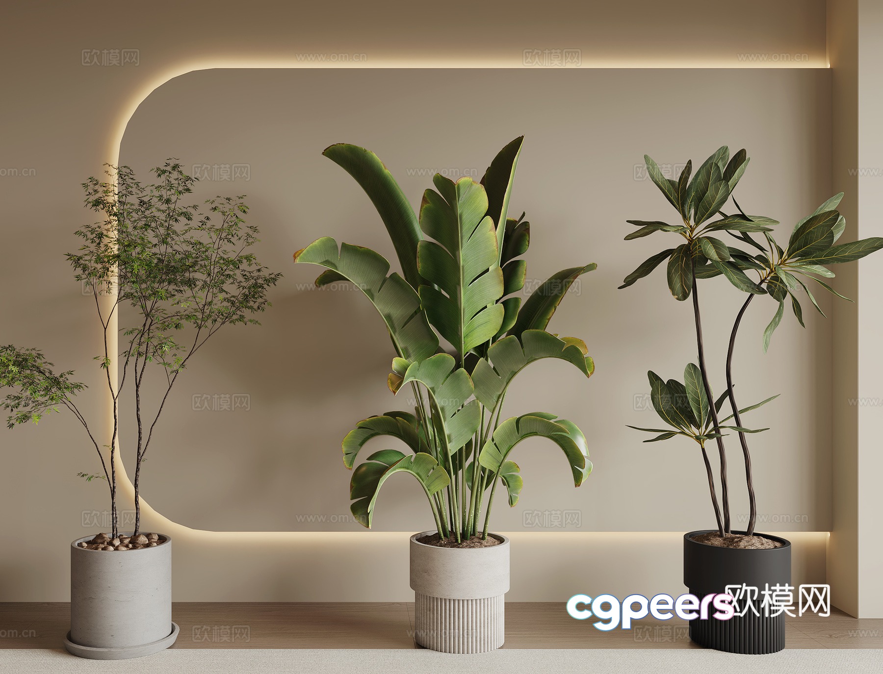 Modern green plant potted 3D model Modern green plant potted 3D model
