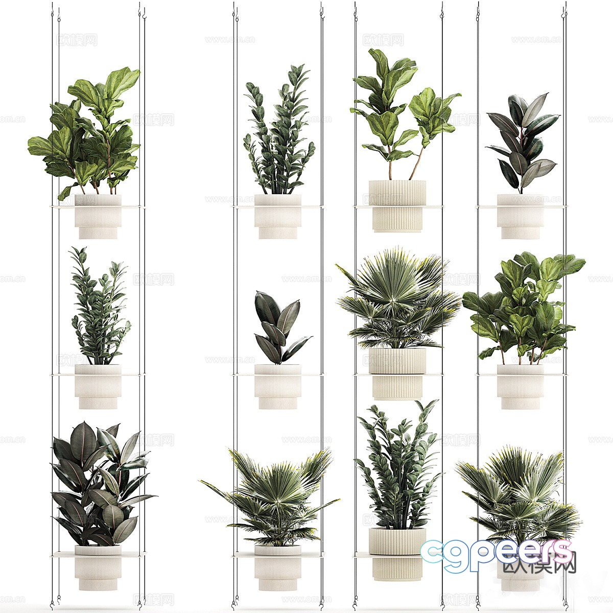 Plant Collection 14293d Model Plant Collection 14293d Model