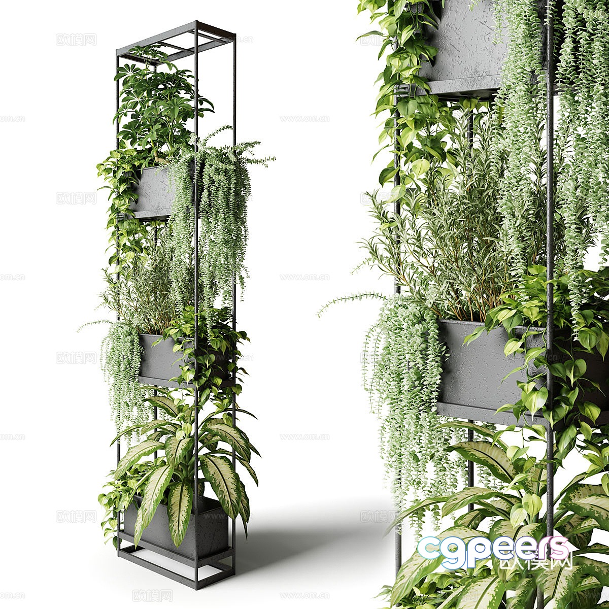 Plant rack 3d model Plant rack 3d model