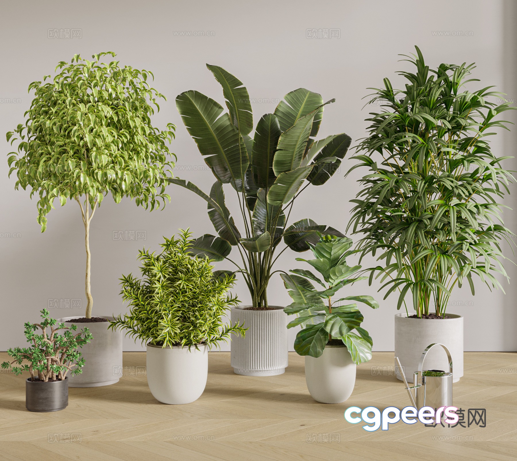 Modern potted plants 3D model Modern potted plants 3D model