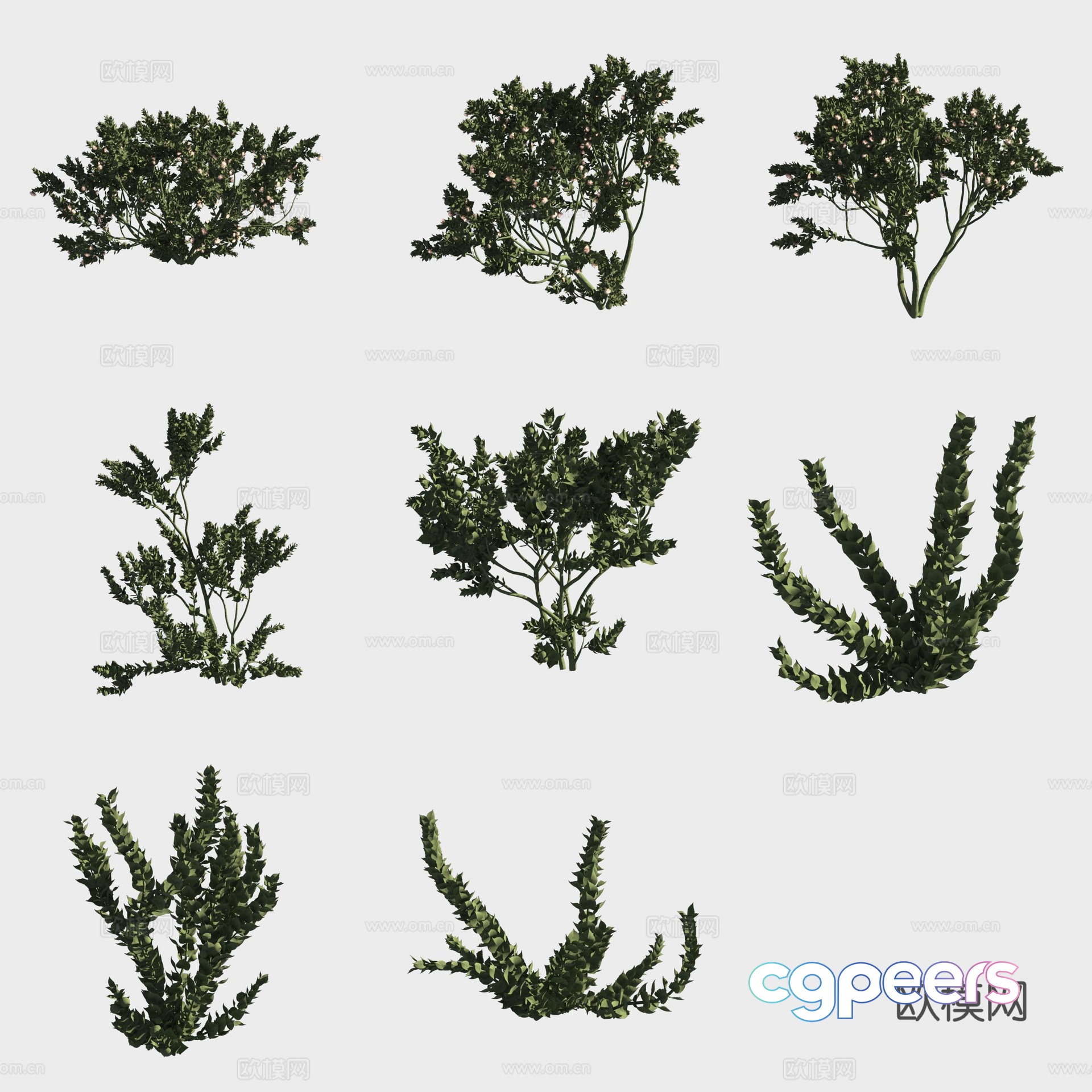 Big red flower eucalyptus small trees forest 3d model Big red flower eucalyptus small trees forest 3d model