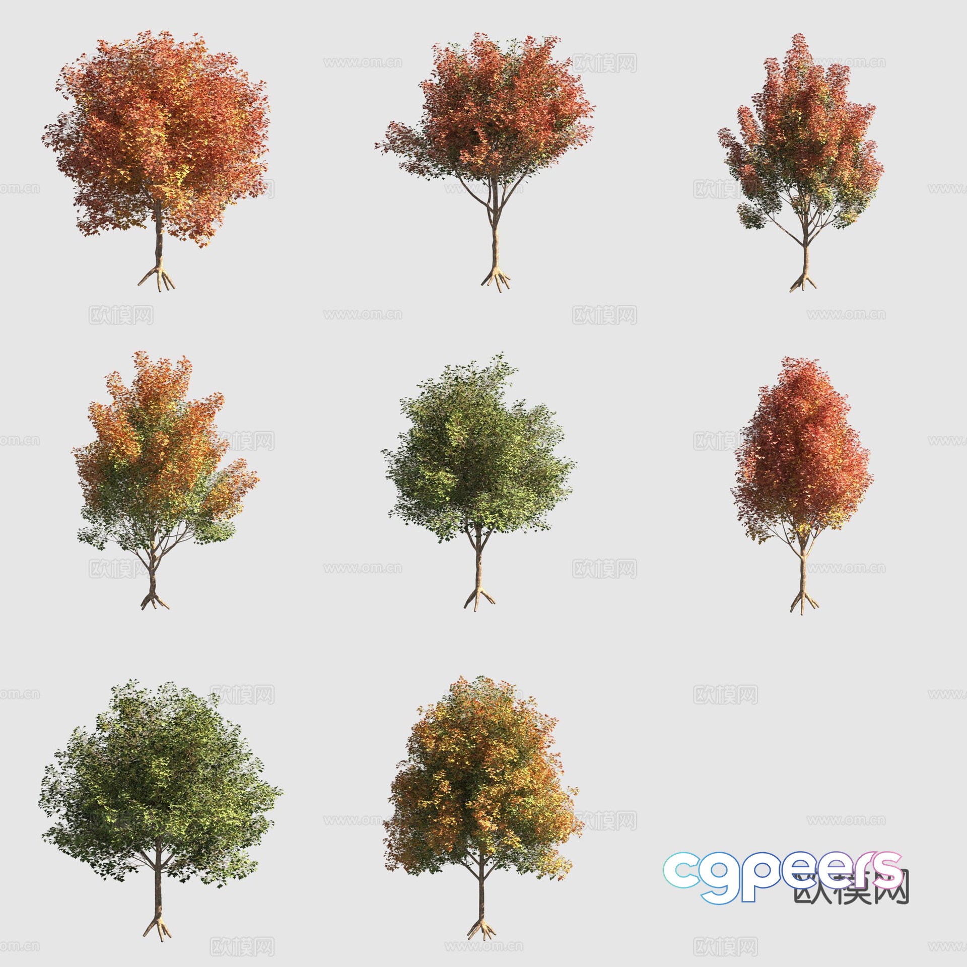 Triangular maple triangle maple autumn landscape tree 3d model Triangular maple triangle maple autumn landscape tree 3d model