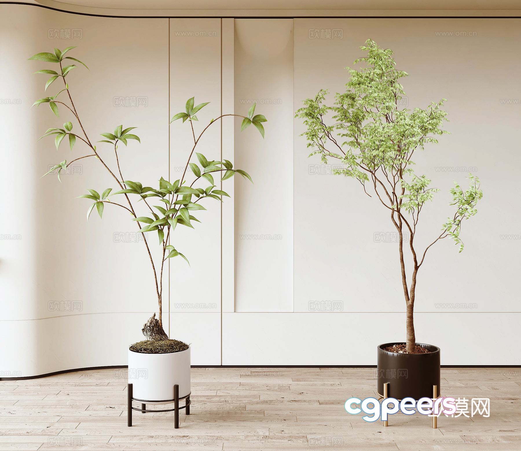 Modern green plants 3d model Modern green plants 3d model