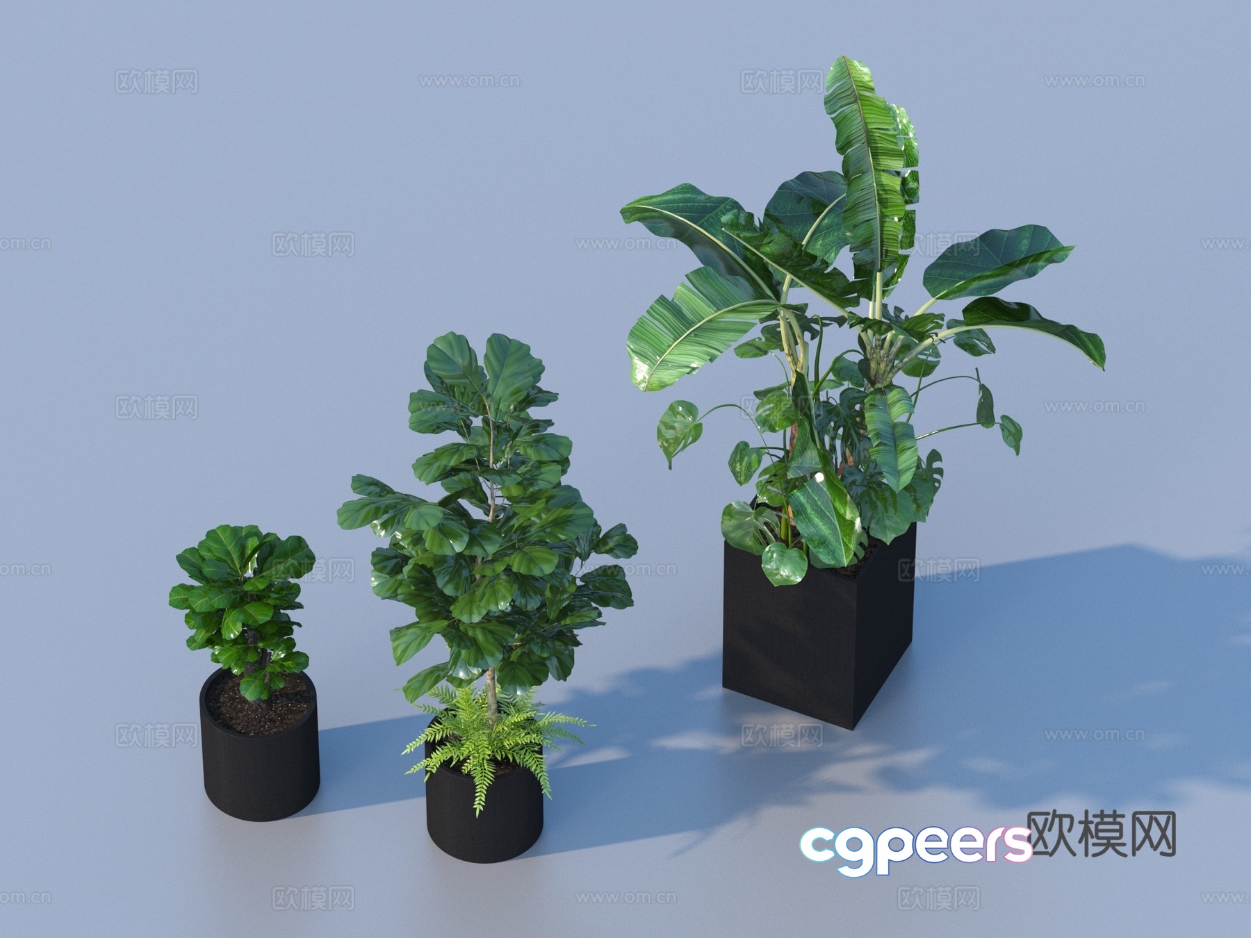 Flower pot pot green plants plant 3d model Flower pot pot green plants plant 3d model