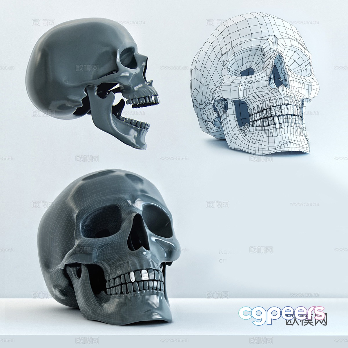 skull 3d model skull 3d model
