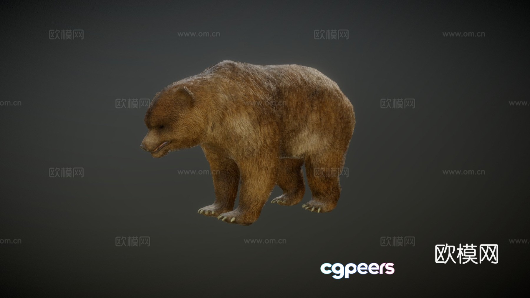 Bear animated 3d model Bear animated 3d model