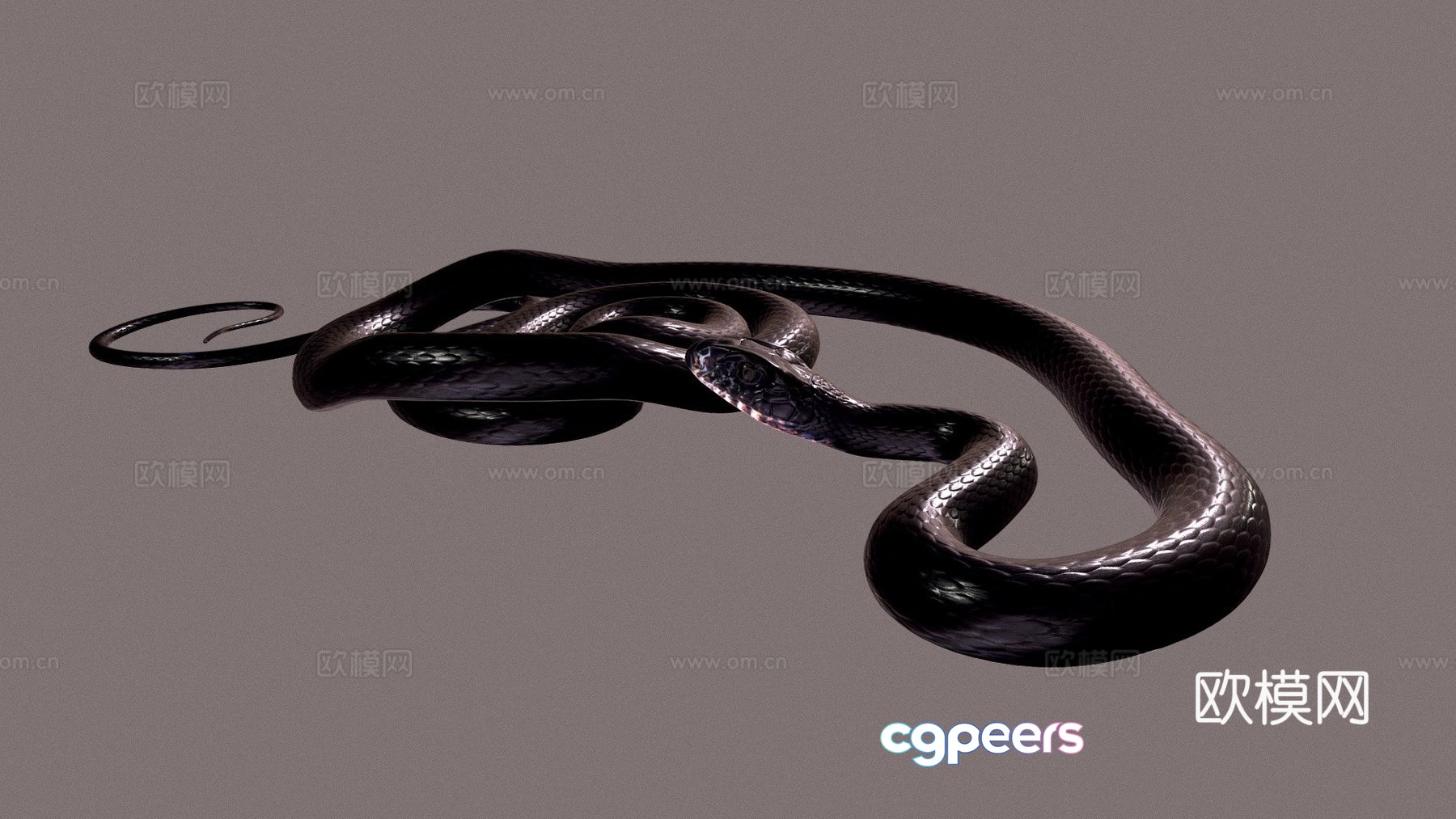 Type A - Cyprus Racing Snake 3d model Type A - Cyprus Racing Snake 3d model