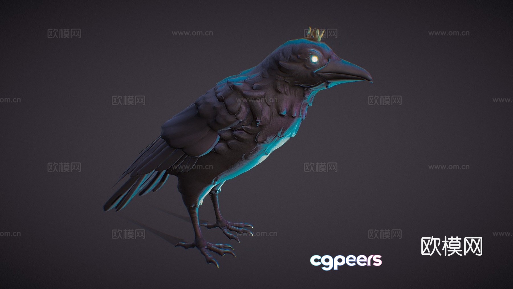 crow 3d model crow 3d model