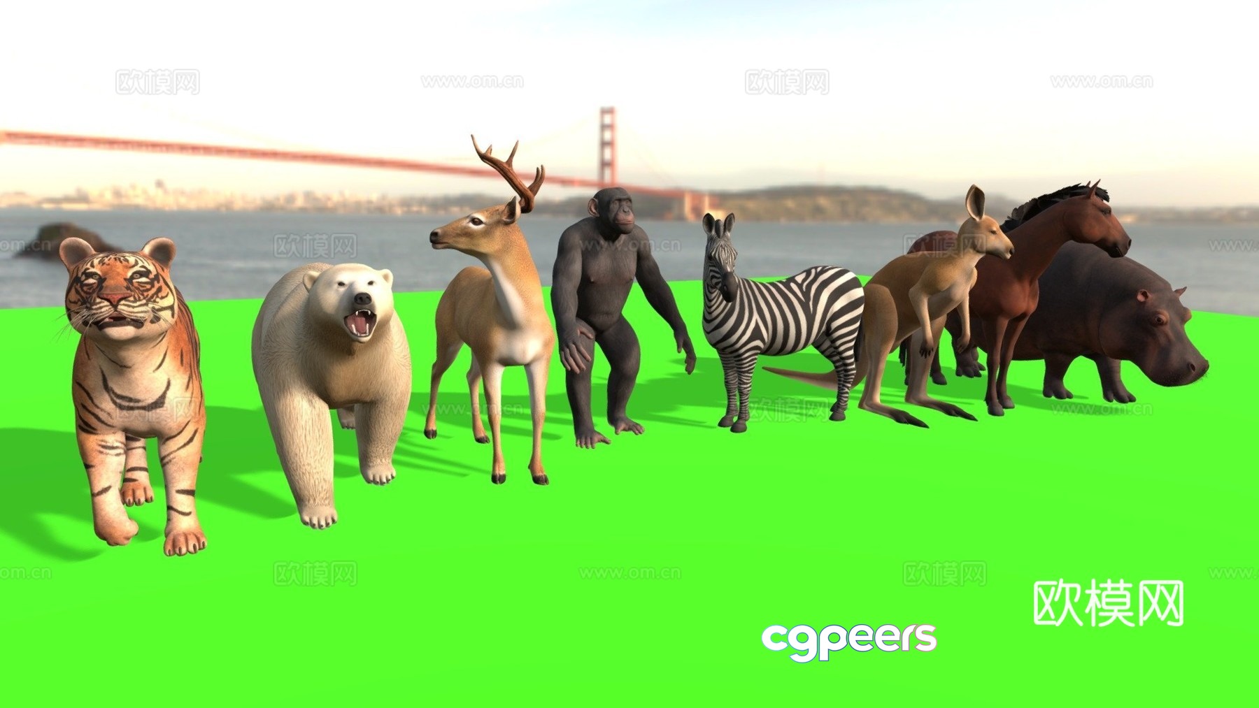 medium animal pack 3d model medium animal pack 3d model