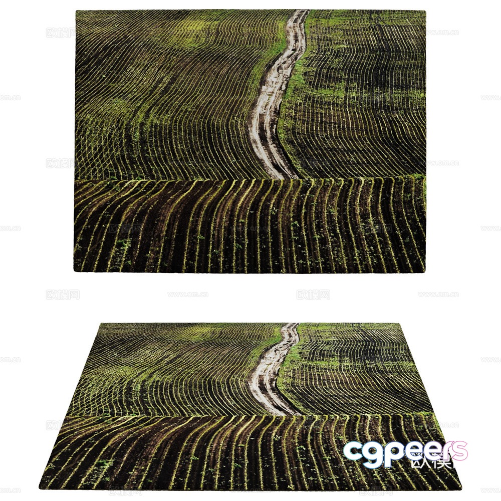 Carpet 3d model Carpet 3d model