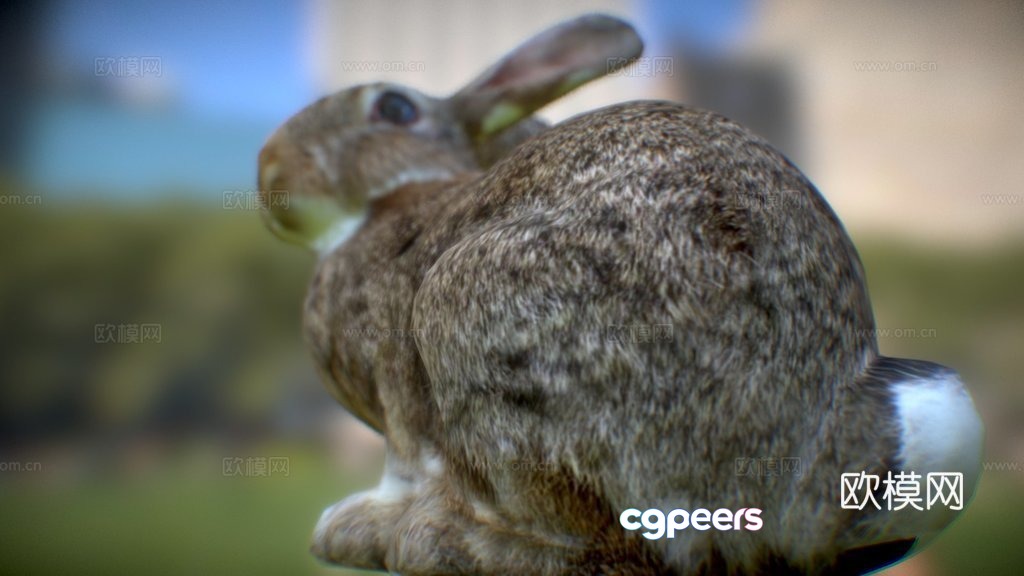 rabbit 3d model rabbit 3d model