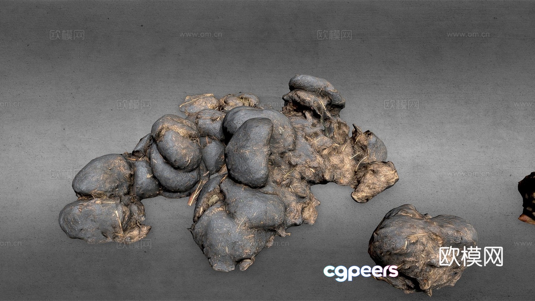 Horse manure pile scanning 3d model Horse manure pile scanning 3d model