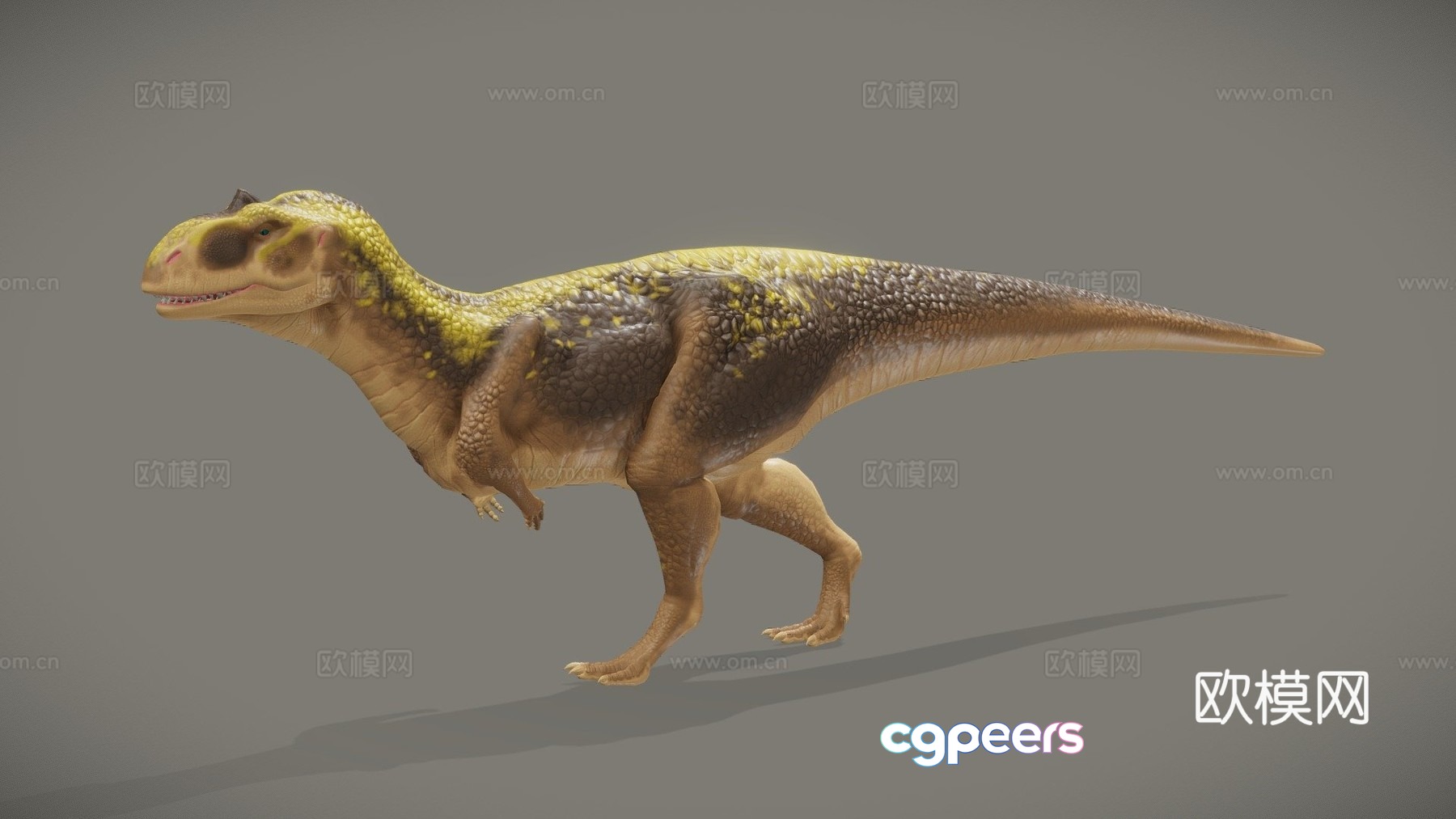 Narmada rex 3d model Narmada rex 3d model