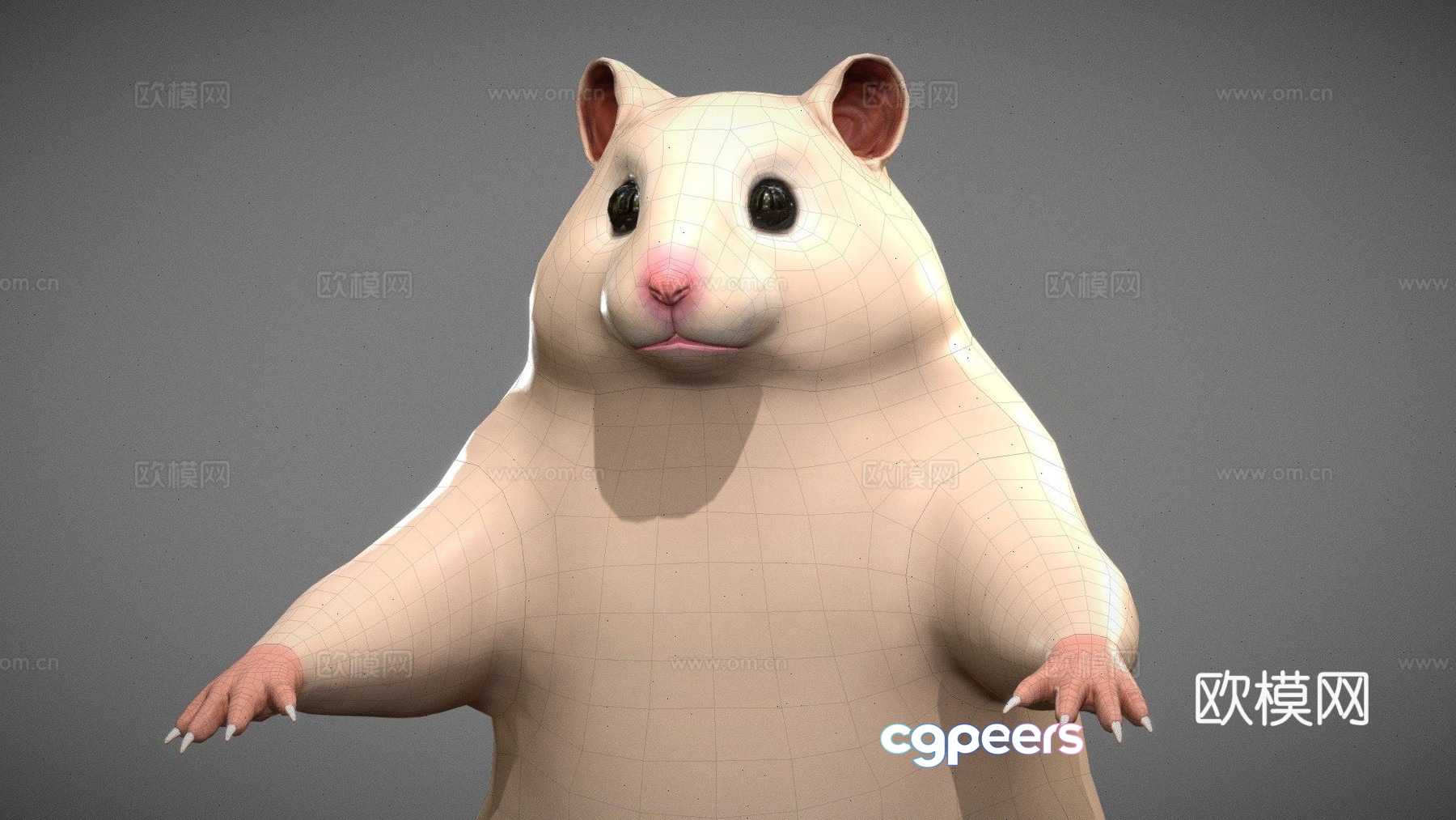 Hamster 3d model Hamster 3d model