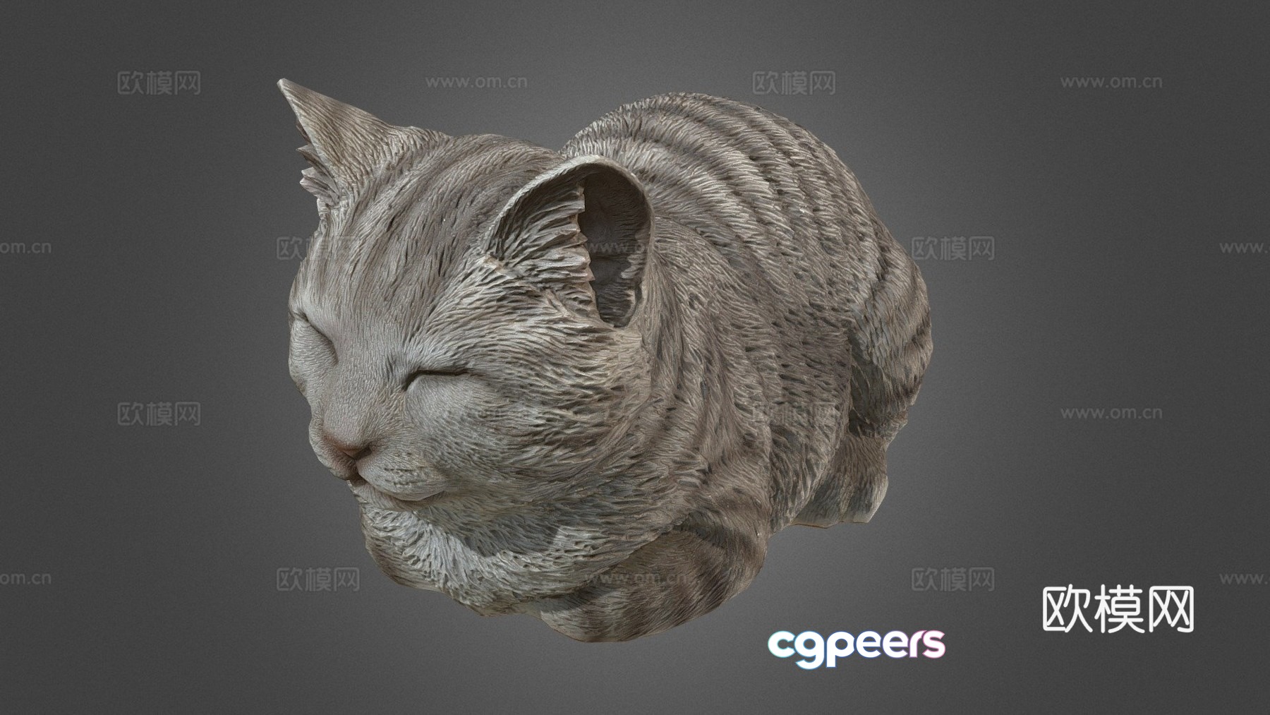 Doze Cat 3D Model Doze Cat 3D Model