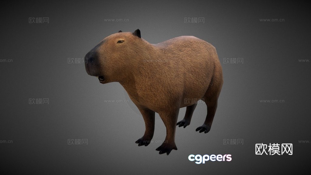 capybara 3d model capybara 3d model