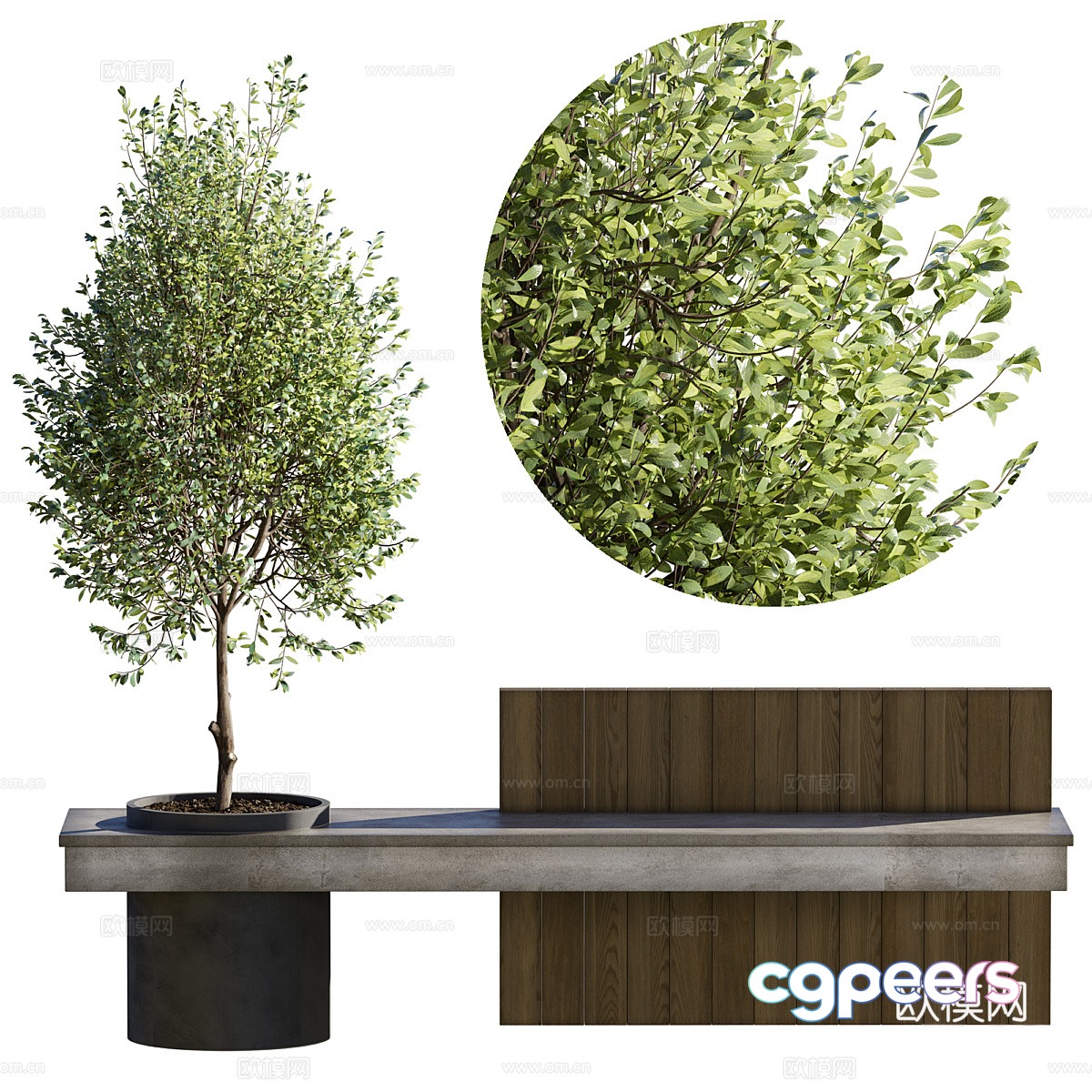 Modern Italian park plant bench 3d model Modern Italian park plant bench 3d model