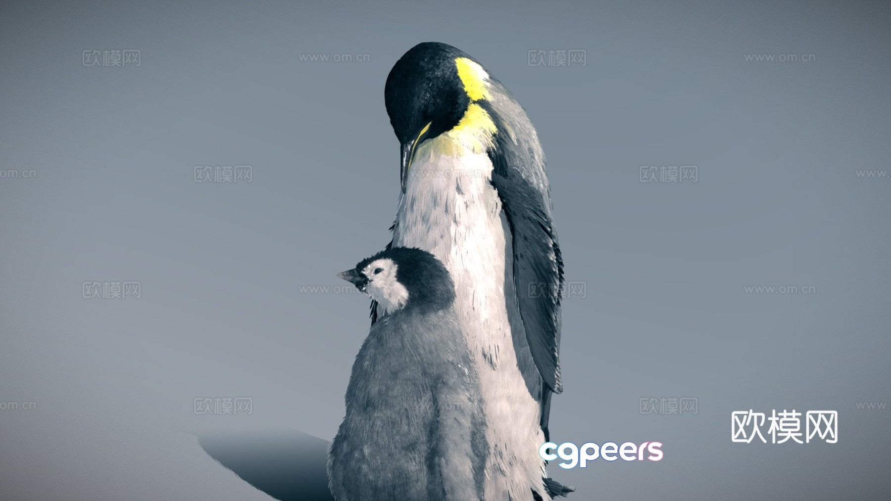 Emperor Penguin (Family Pack) 3d model Emperor Penguin (Family Pack) 3d model