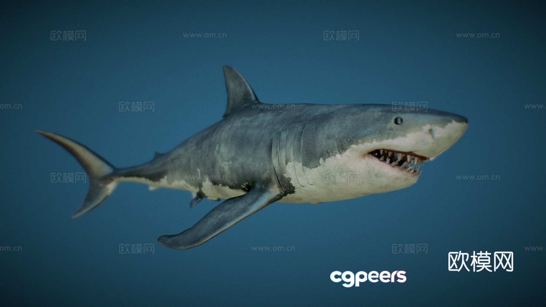 Jaws - game available model - 3d model Jaws - game available model - 3d model
