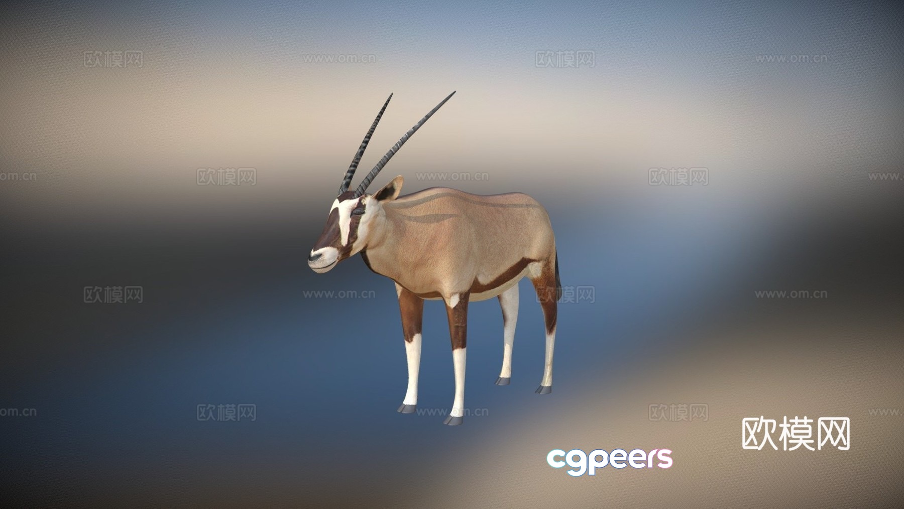 Antelope model 3d model Antelope model 3d model