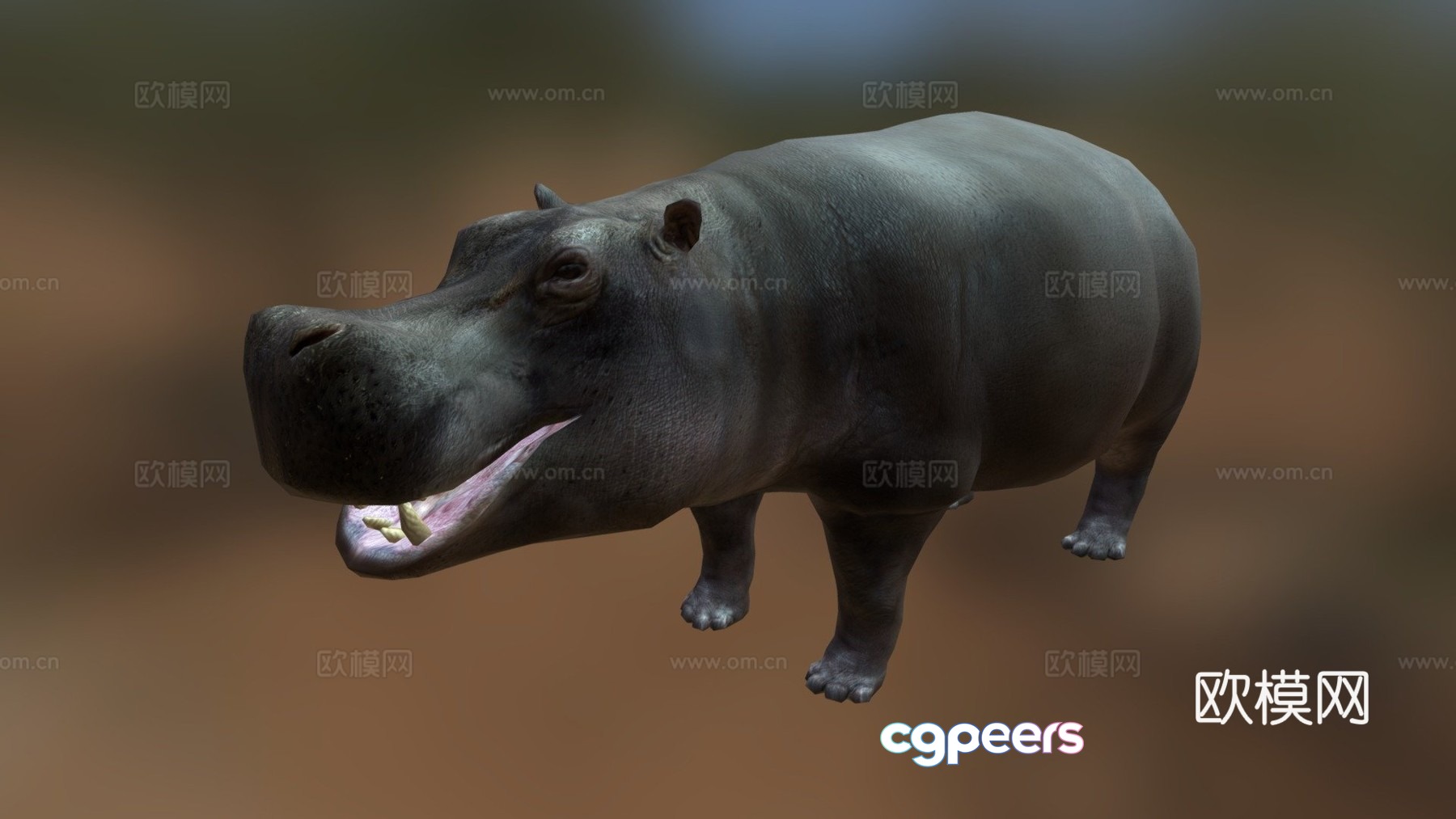 hippopotamus 3d model hippopotamus 3d model