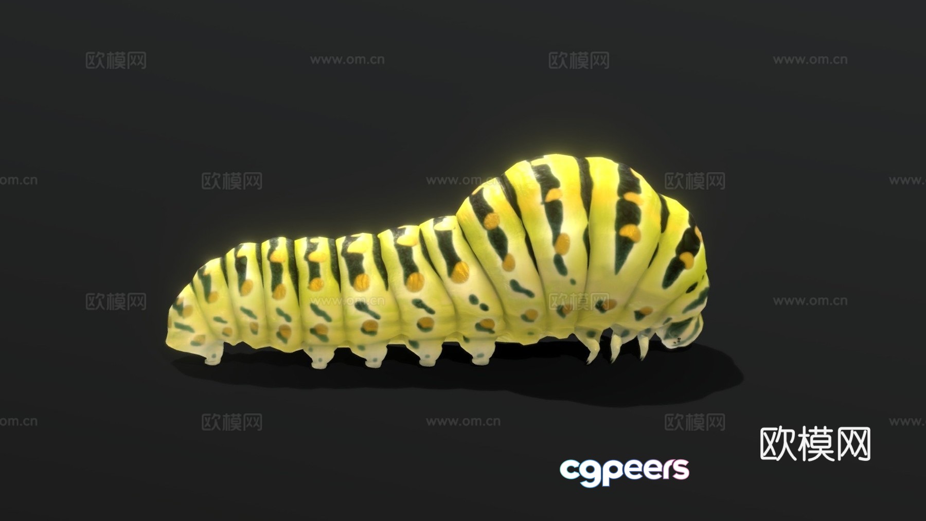 3d model of butterfly caterpillar 3d model of butterfly caterpillar