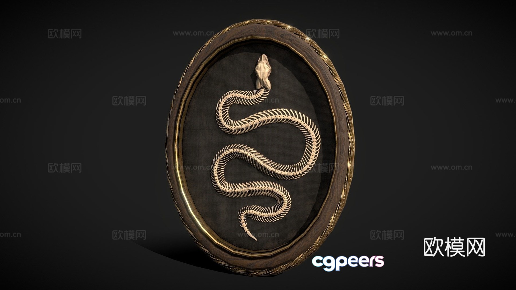 Framed snake skeleton - horror decoration - low poly 3d model Framed snake skeleton - horror decoration - low poly 3d model