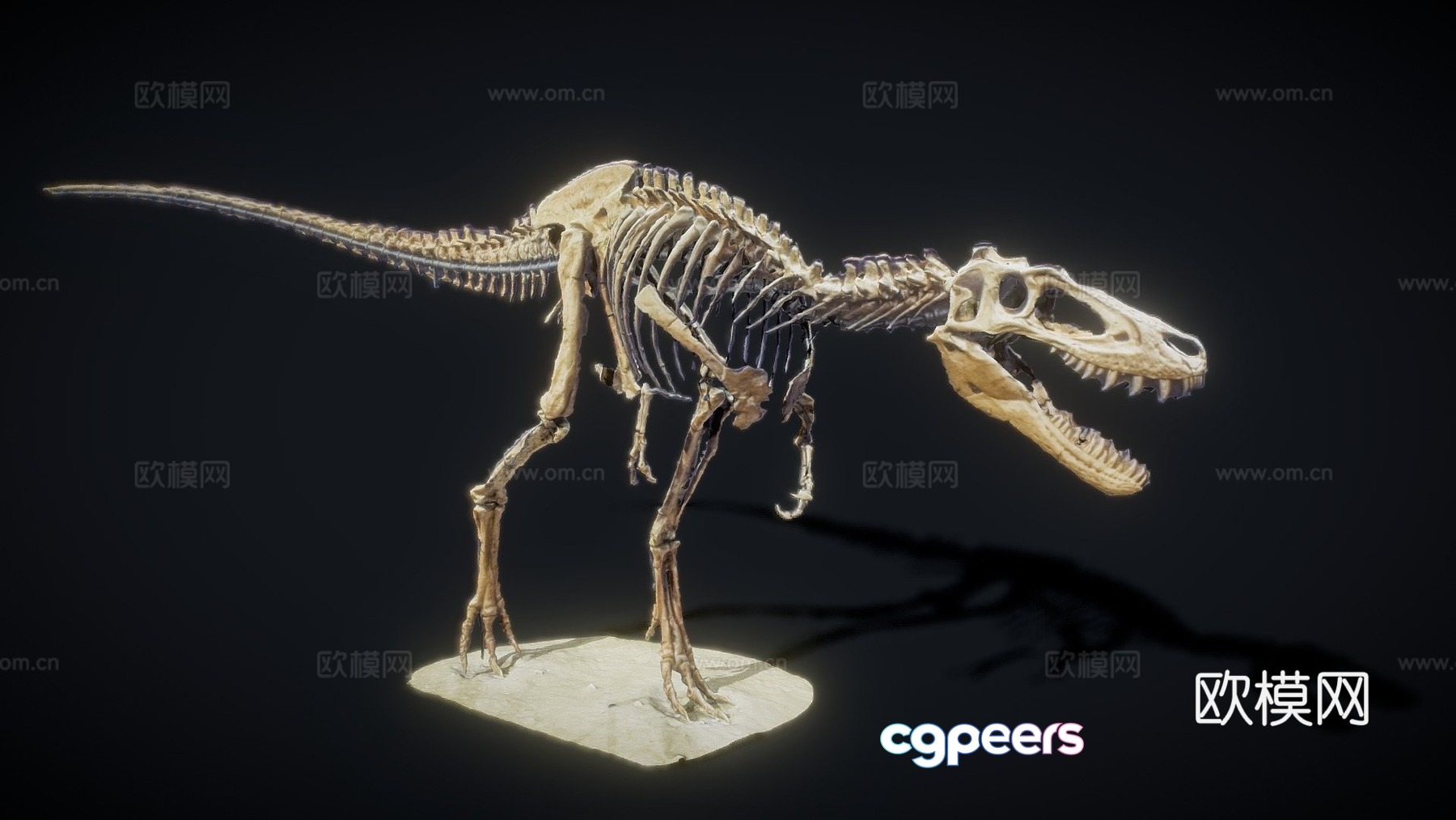 Baby tyrannosaurus 3d model Baby tyrannosaurus 3d model